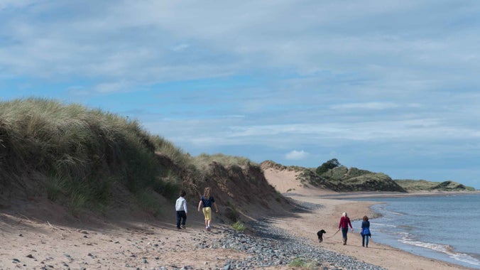 Visitors walking along the shore with dog at Sandscale Haws National Nature Reserve
